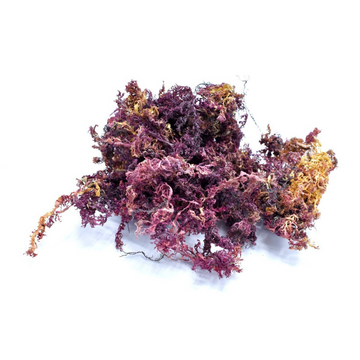 Raw Premium Purple Sea Moss